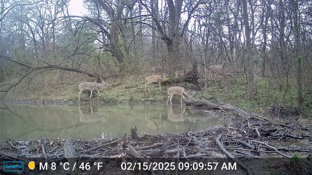 6514 Joyce Lane, Sherman, TX 75092
