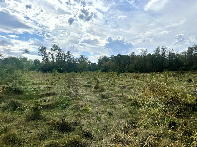 5048 Smokethorn Trail, Belvidere, IL 61008