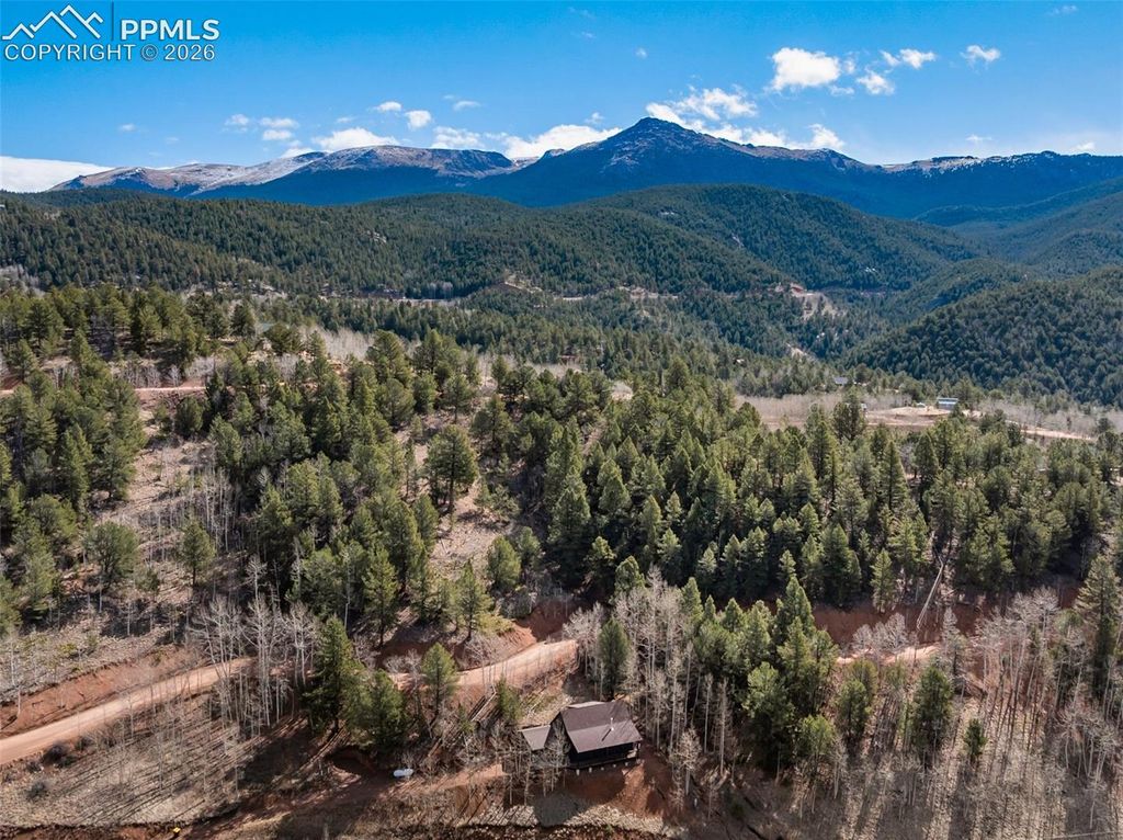 60 Beaver Pond Road, Divide, CO 80814 — photo 2
