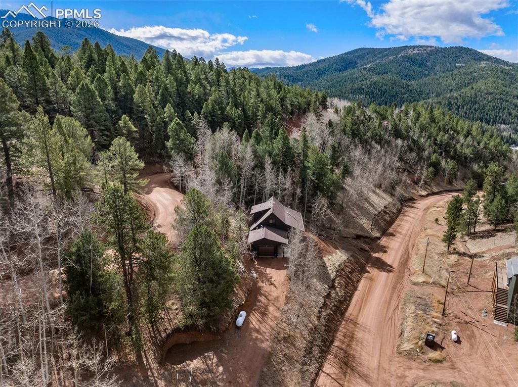 60 Beaver Pond Road, Divide, CO 80814 — photo 4