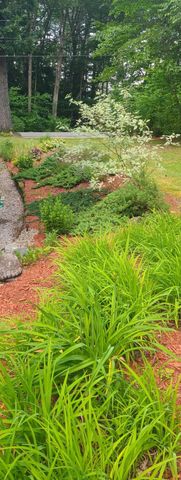 119 Black Brook Road, Meredith, NH 03253