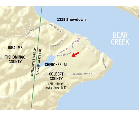 1318 SNOWDOWN RD, Iuka, MS 38852