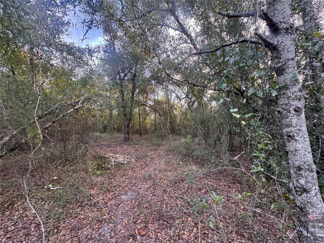 3960 NW BACHTOLD DRIVE, Arcadia, FL 34266