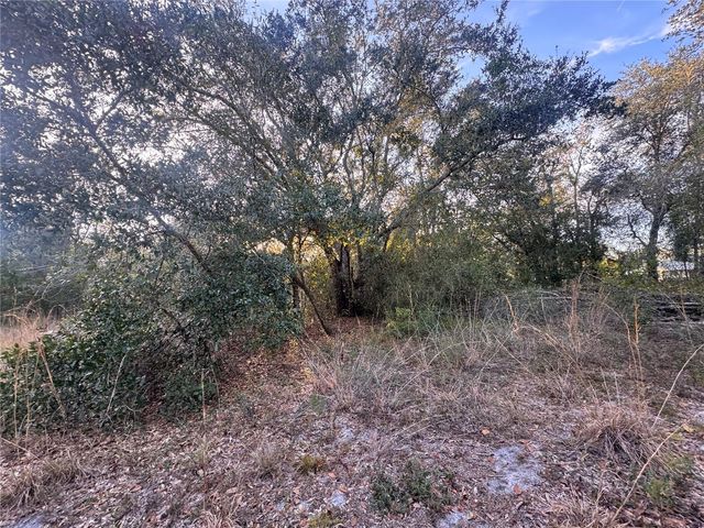 3960 NW BACHTOLD DRIVE, Arcadia, FL 34266