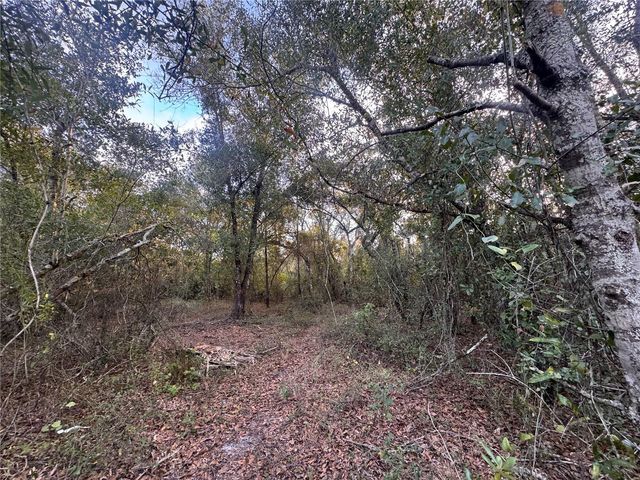 3960 NW BACHTOLD DRIVE, Arcadia, FL 34266