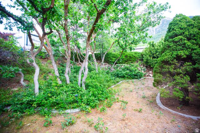 4474 S ADONIS DR, Millcreek, UT 84124