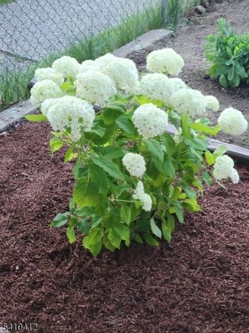 204 Central Ave, Passaic City, NJ 07055