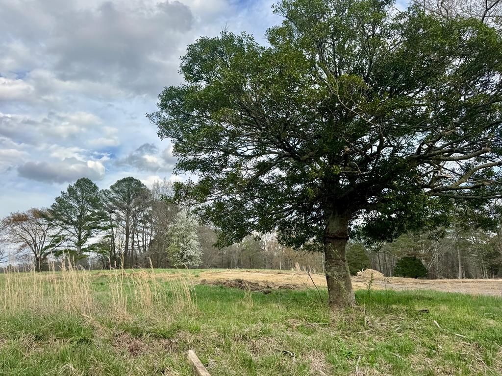 Tract 2 Mount Pleasant Road, Dalton, GA 30721