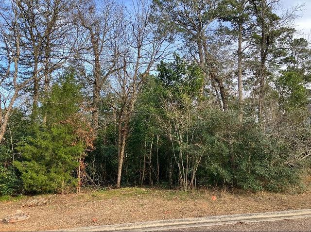 12136 Goliad, Willis, TX 77378