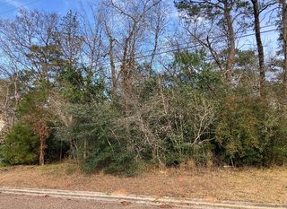 12136 Goliad, Willis, TX 77378