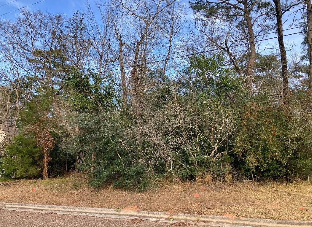 12136 Goliad, Willis, TX 77378