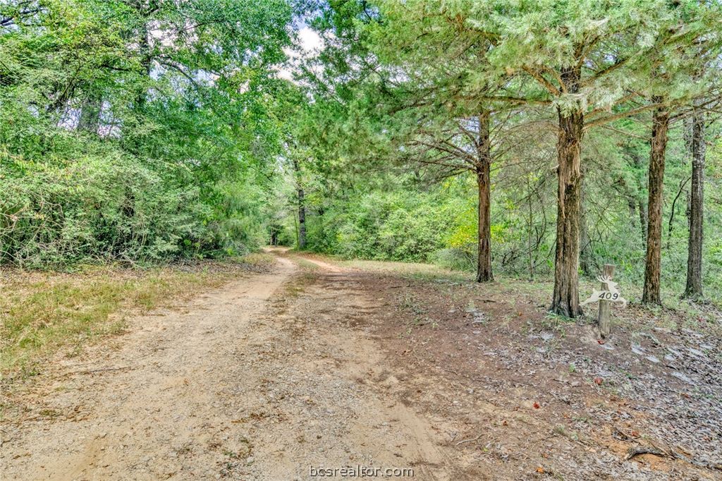 9409 Haney Road, Franklin, TX 77856 — photo 5