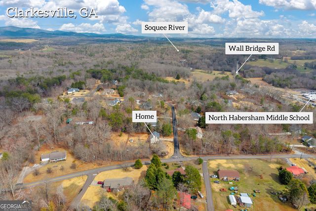 115 Settlers Point Drive, Clarkesville, GA 30523