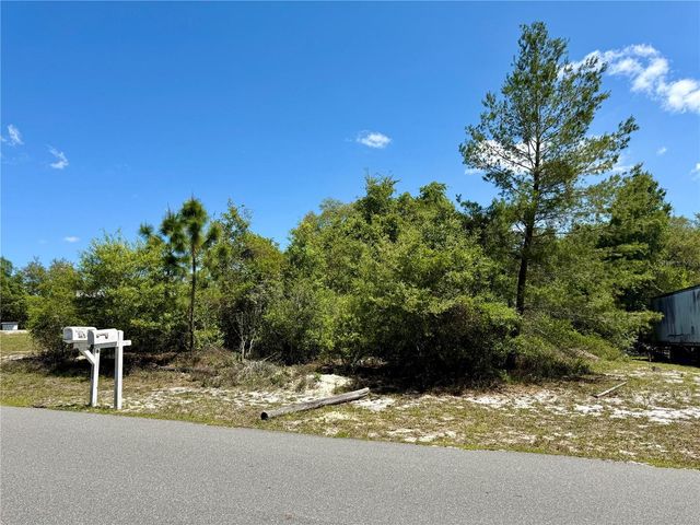 BENTON DRIVE, Eustis, FL 32736