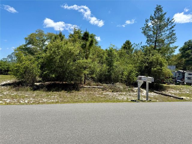 BENTON DRIVE, Eustis, FL 32736