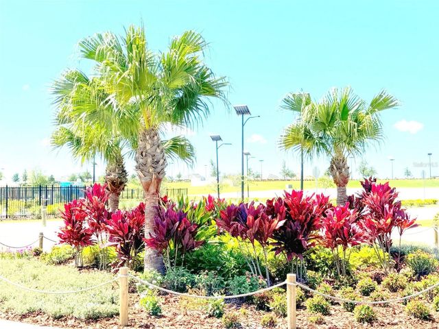 11163 LINDEN DEPOT ROAD, San Antonio, FL 33576