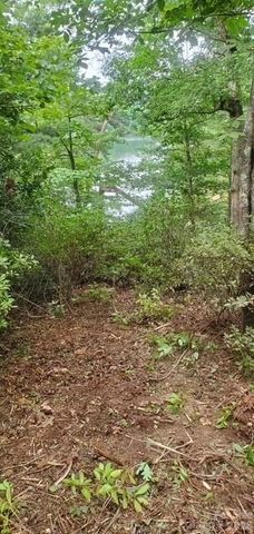 TBD Main Channel Point 37, Granite Falls, NC 28630