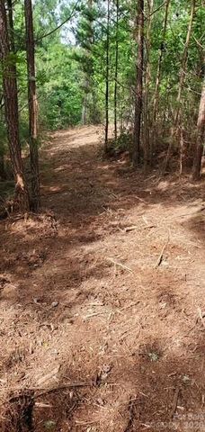 TBD Main Channel Point 37, Granite Falls, NC 28630