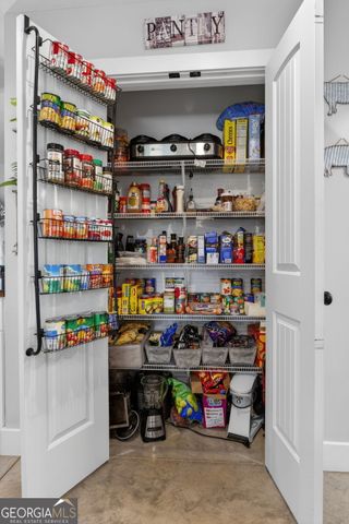 2110 Sullivan Mill Road 20 ACRES, Senoia, GA 30276