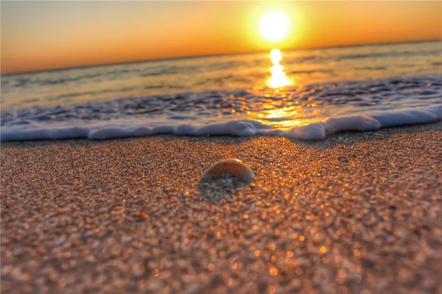 805 South Tower 46th Place 3S, Vero Beach, FL 32963