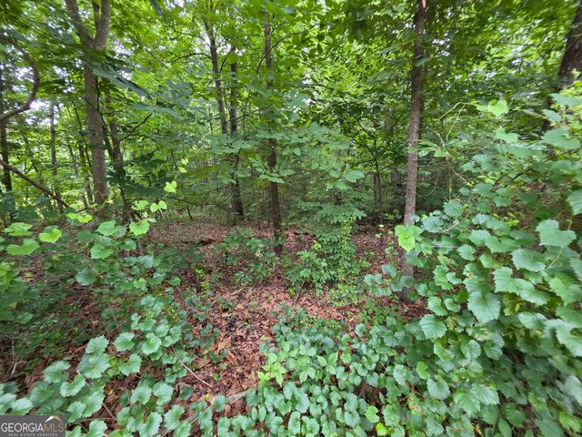 LOT 15 Harbor Heights Circle, Lavonia, GA 30553
