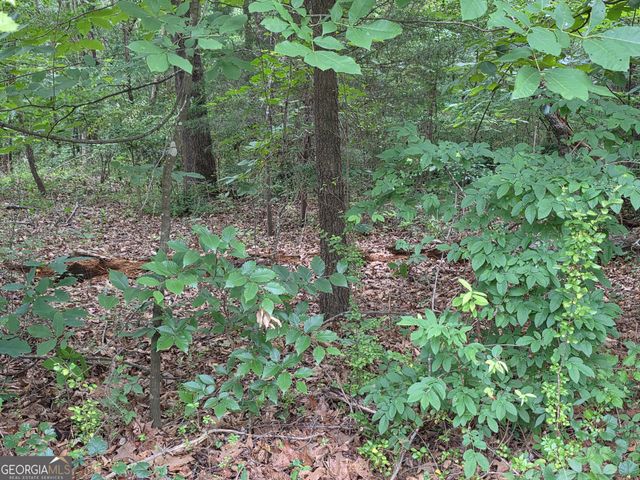 LOT 15 Harbor Heights Circle, Lavonia, GA 30553
