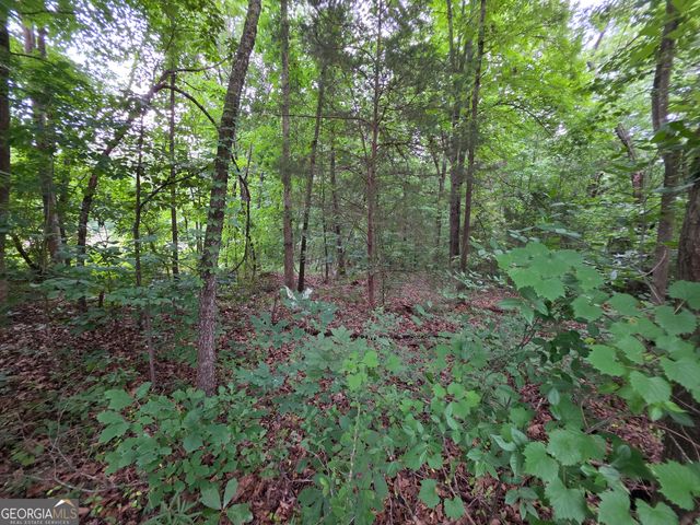 LOT 15 Harbor Heights Circle, Lavonia, GA 30553