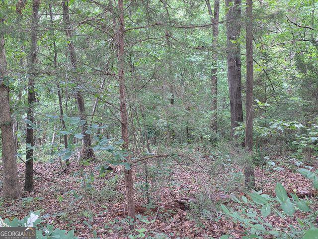 LOT 15 Harbor Heights Circle, Lavonia, GA 30553