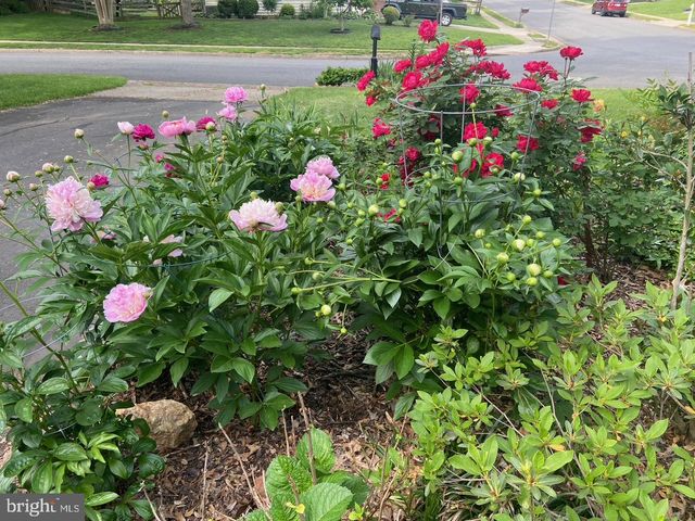 9101 BLUE JUG LNDG, Burke, VA 22015