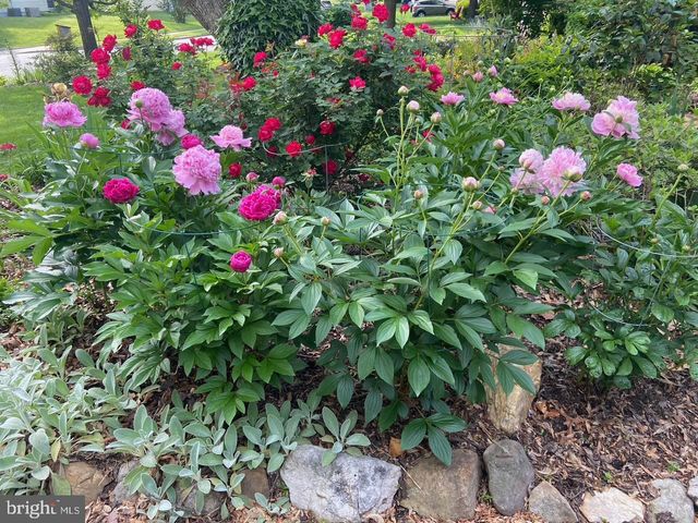 9101 BLUE JUG LNDG, Burke, VA 22015