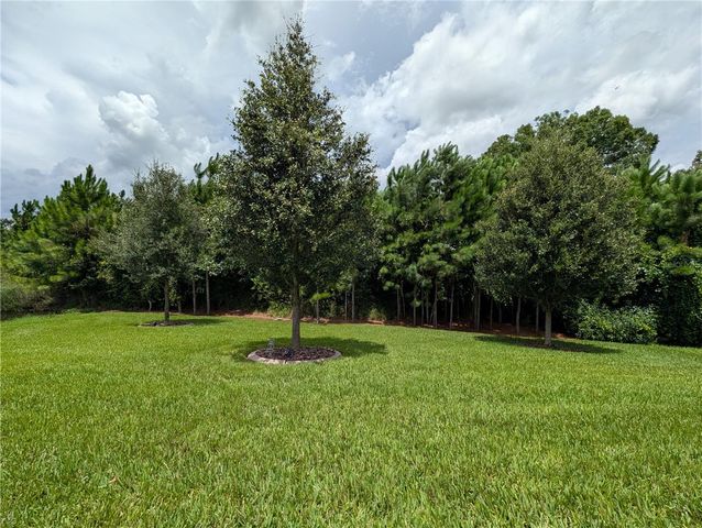 16711 SHELL BAY DRIVE, Land O Lakes, FL 34638