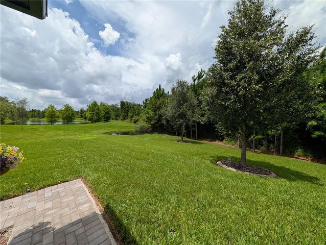 16711 SHELL BAY DRIVE, Land O Lakes, FL 34638