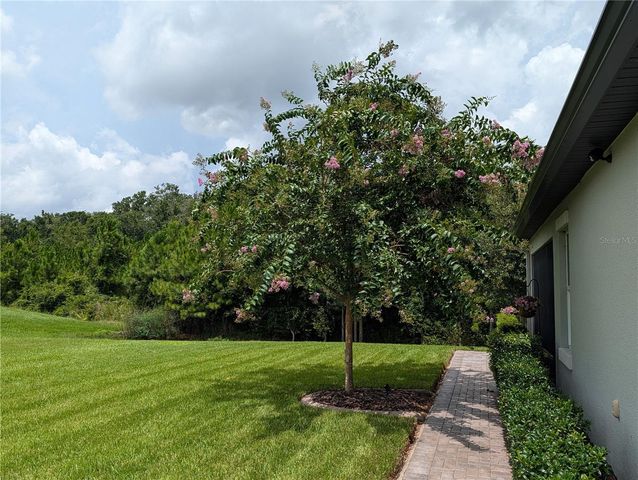 16711 SHELL BAY DRIVE, Land O Lakes, FL 34638