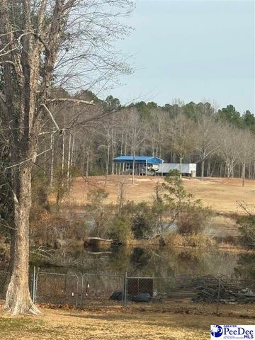 408 Bluff Rd, Hartsville, SC 29550