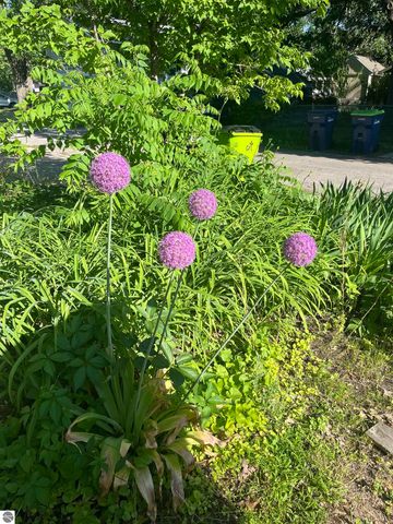 136 E Fifteenth Street, Traverse City, MI 49684