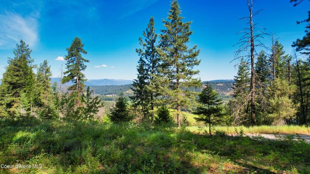 19 Glacier Rd, Bonners Ferry, ID 83805