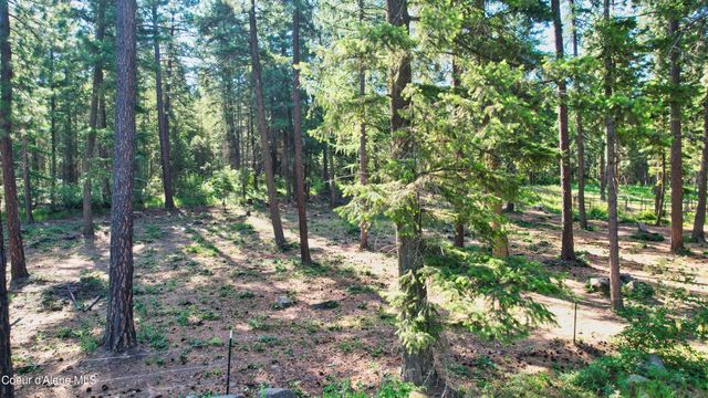 19 Glacier Rd, Bonners Ferry, ID 83805