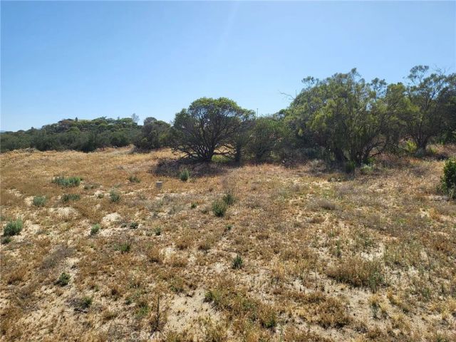 887 Forest Springs, Aguanga, CA 92536