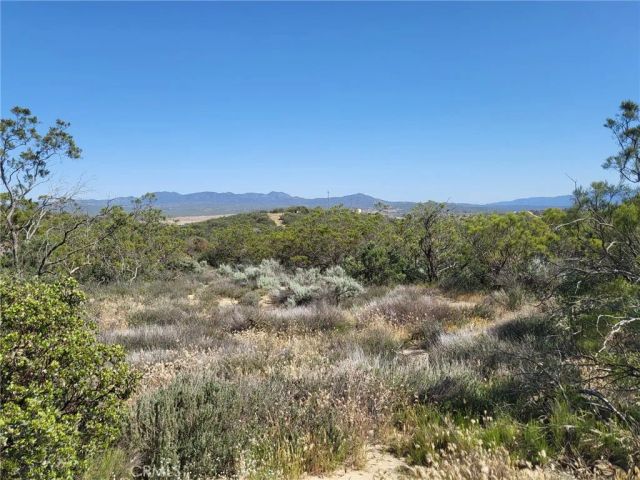 887 Forest Springs, Aguanga, CA 92536