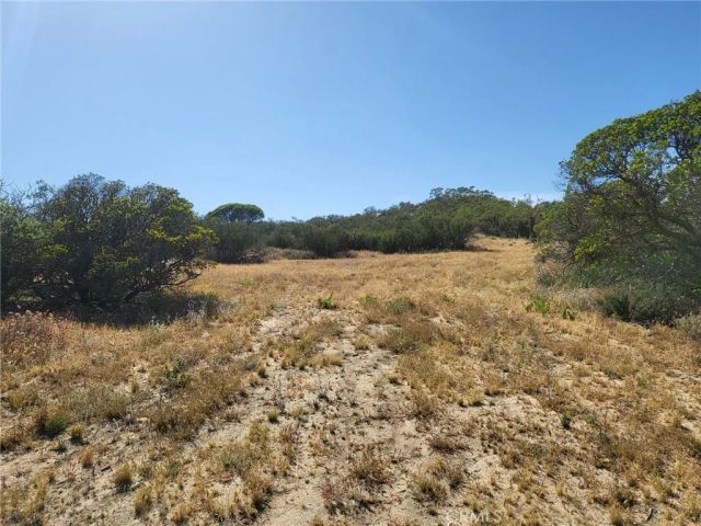 887 Forest Springs, Aguanga, CA 92536