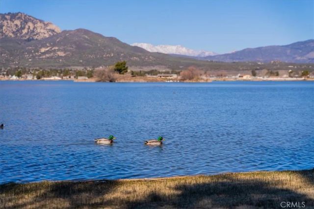 887 Forest Springs, Aguanga, CA 92536