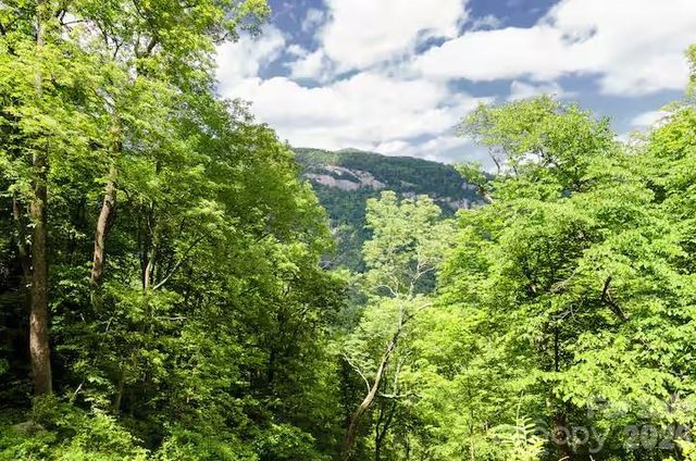 158 Pearson Circle, Lake Lure, NC 28746