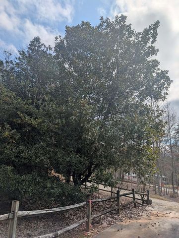 53 Stonebrook Lane, Blairsville, GA 30512