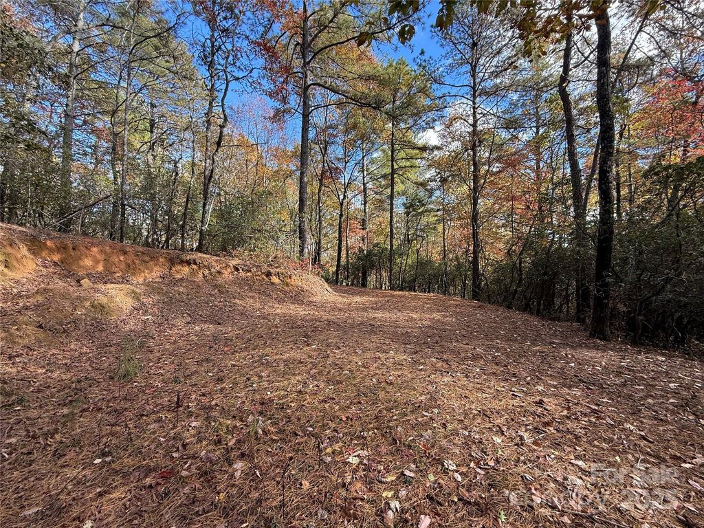 171 Duff Cove Road, Brevard, NC 28712