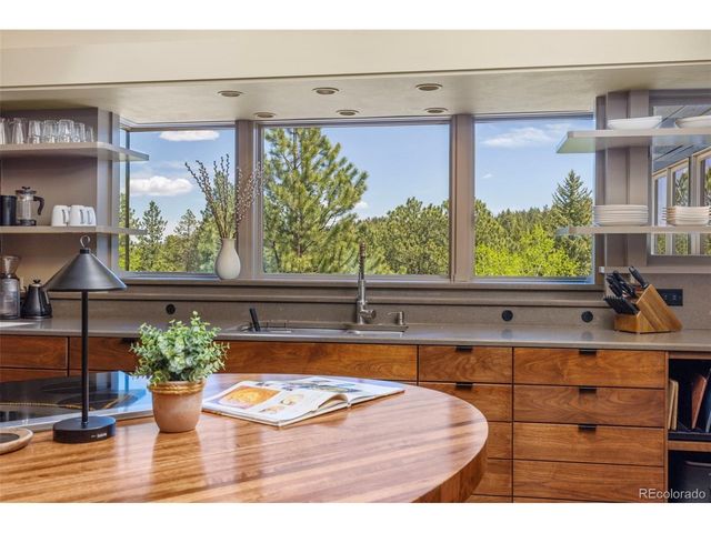1323 S Snyder Gulch Rd, Evergreen, CO 80439
