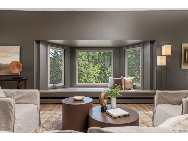 1323 S Snyder Gulch Rd, Evergreen, CO 80439