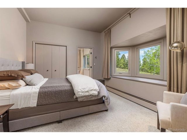 1323 S Snyder Gulch Rd, Evergreen, CO 80439