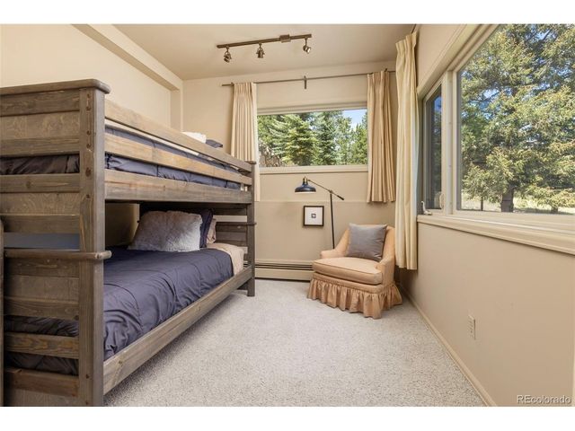 1323 S Snyder Gulch Rd, Evergreen, CO 80439