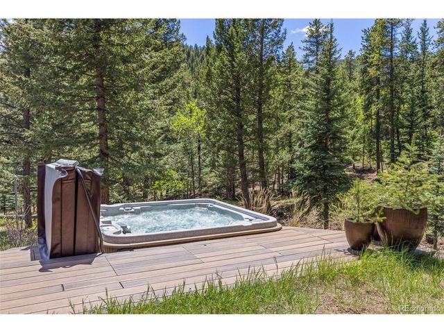 1323 S Snyder Gulch Rd, Evergreen, CO 80439