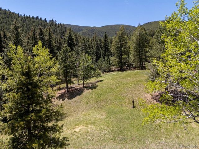 1323 S Snyder Gulch Rd, Evergreen, CO 80439